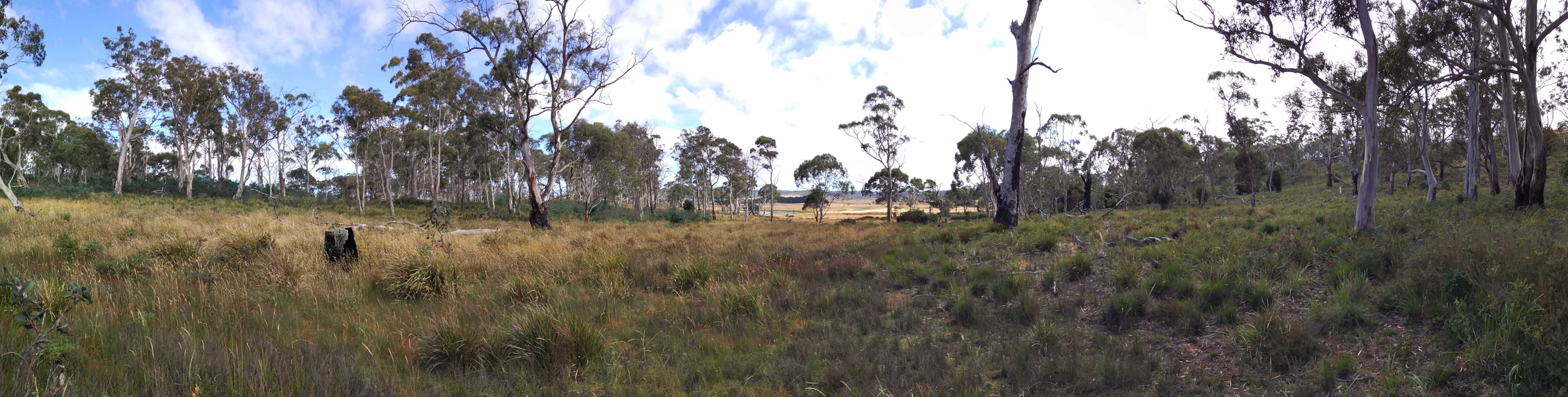 pano_20170208_102551